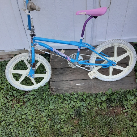 Meet your Posher, Ricky - Picture 2 of 4